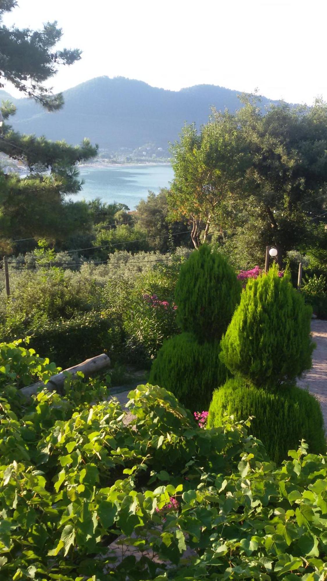 Villa Dimitra Skala Potamia  Exterior foto